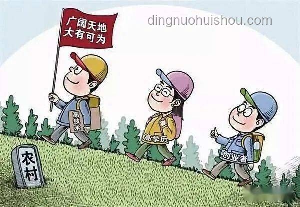 荔枝危机下的创新反思：贪食少年的警示与跨界启示